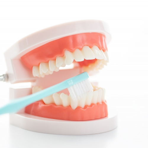 虫歯・歯周病の状態を検査